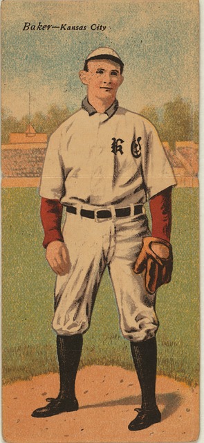 年来的支持 年来的支持