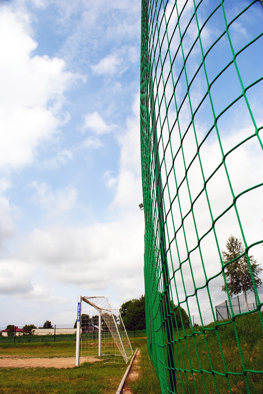 选择了辞职 选择了辞职