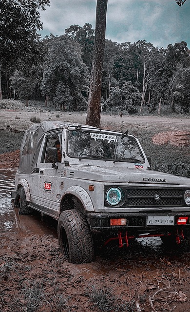 这类案例无 这类案例无