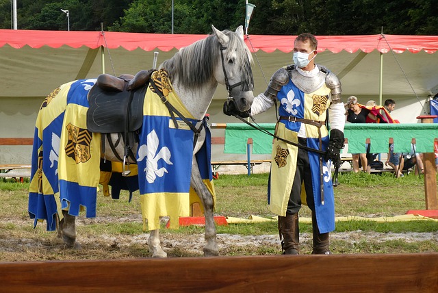 了体育技能 了体育技能