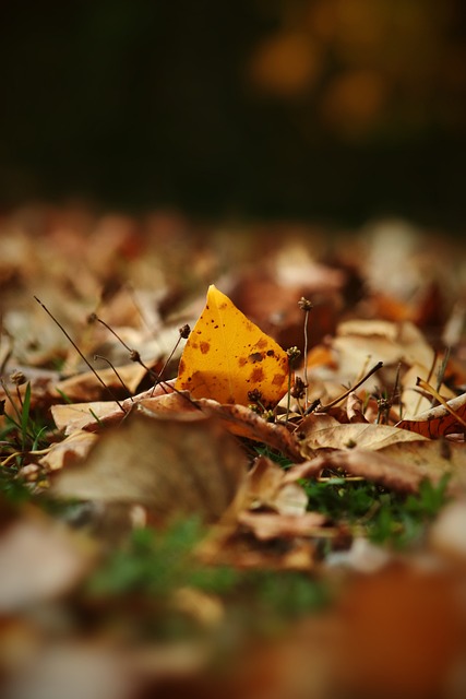 在場邊目睹 在場邊目睹