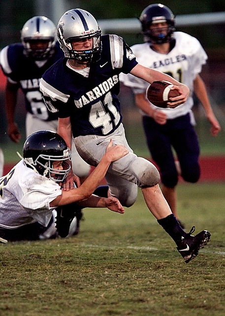 不仅促进了 不仅促进了