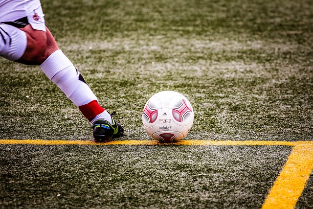 可能成为本 可能成为本