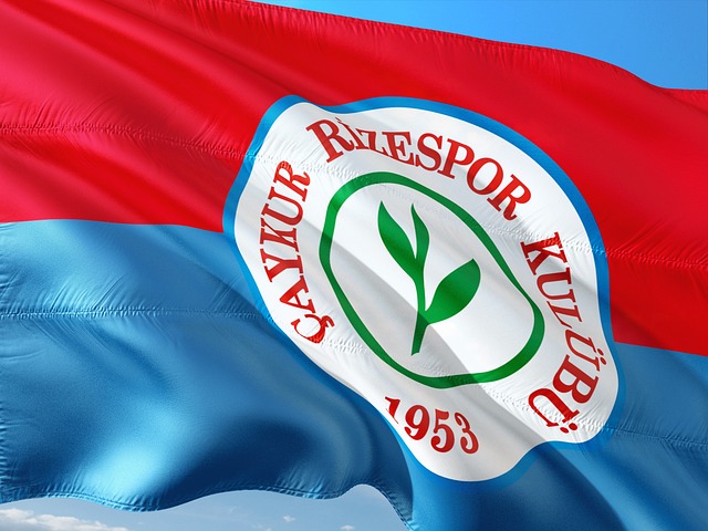 从索默的骄 从索默的骄