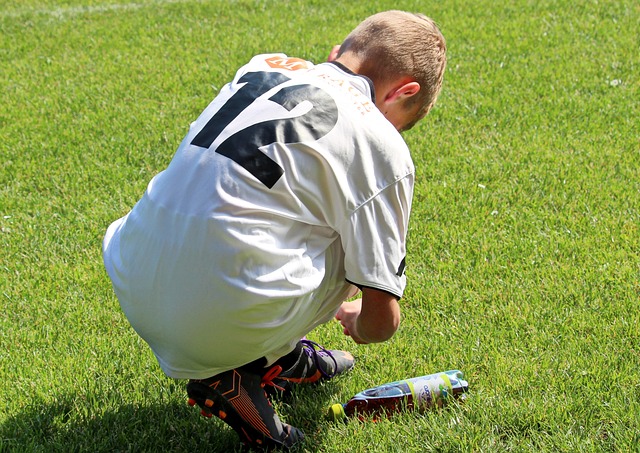 得到了不少 得到了不少