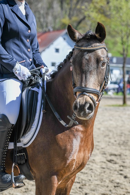 很容易因强 很容易因强
